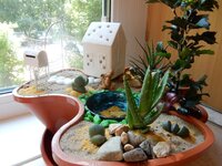 2016-06-04 10-47-46.jpg