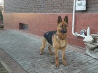 2015-03-15 19.54.39.jpg