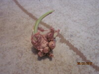 Изображение 32742.jpg