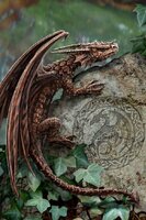 mini spiney woodland hopper.JPG