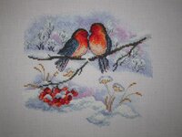 Пара снегирей.jpg