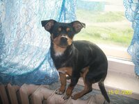 Изображение 111.jpg