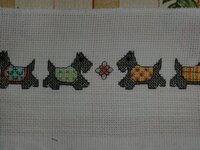 CIMG1103 (1024x768).jpg