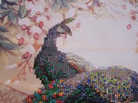 Изображение 1574.jpg