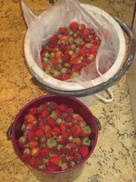 Изображение 1174.jpg