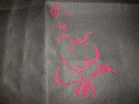 Нора лотос 01.jpg