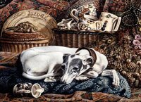 Addie on pillow (large format).JPG