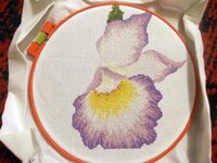 Изображение 287939.jpg