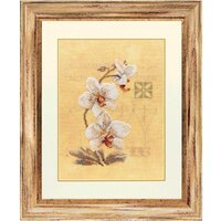 34.746 The orchid.jpg