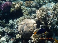 отдых 2014 май 683.jpg