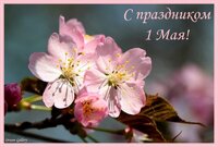 май.jpg