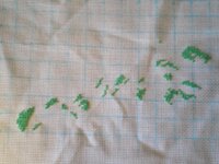 туннус - 01.jpg