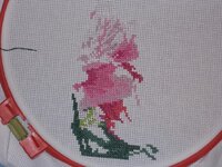 Изображение 287880.jpg