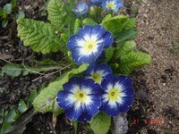 Изображение 007.jpg