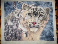 Леопард от MMANN 13.jpg