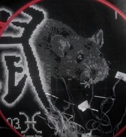 Крыса-1.  Отшив на 28.02.16.  +891.jpg