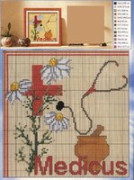 день доктора.jpg