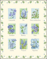 Blue Flowers.jpg
