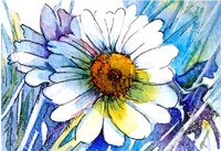daisy blue.JPG