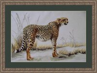 вариант 1.jpg