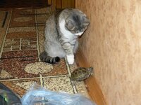 2012.05.28. с черепахой (2).jpg