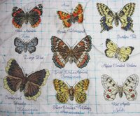 Раунд-Робин №1 Таше все вышито.jpg