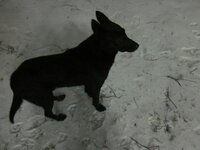 Изображение 2132.jpg