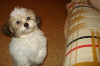 Копия DSC00752.JPG