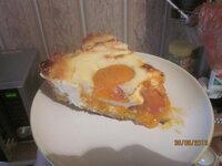 Изображение 236.jpg