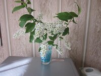 Изображение 1115.jpg