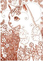 QS pooka meadow cat.JPG