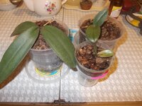 Изображение 051.jpg