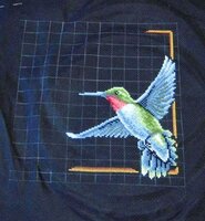 01 Колибри.jpg