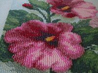 IMG_2258 [Разрешение рабочего стола].JPG