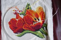 Удочка 19.10.15.jpg