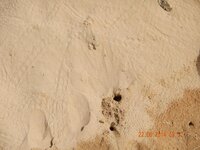 отдых 2014 май 609.jpg