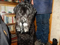 2015-12-17 11-25-08.jpg