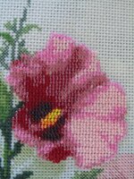 IMG_2259 [Разрешение рабочего стола].JPG