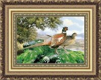 Диви фазани.jpg