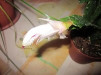 Изображение 2886.jpg