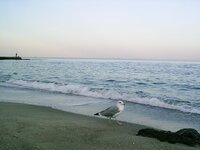 Черное море.jpg