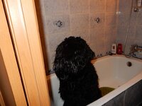 2015-12-15 20-52-34.jpg