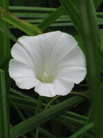 Изображение 113.jpg