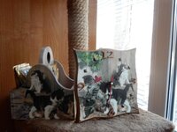 2016-02-04 13-38-04.jpg