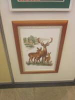 Изображение 551.jpg