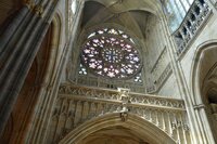 DSC_0371 Розочка).jpg