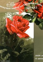 С-443 Роза розовая 20 х 30.jpg
