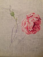 2014-11-06 18-14-35.jpg