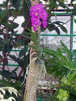 Изображение 122.jpg