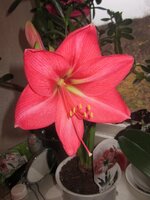 Изображение 1679.jpg